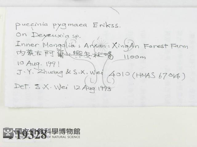 登錄號:F0019328藏品圖，第2張
