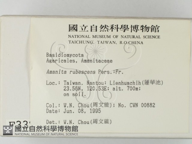 登錄號:F0003328藏品圖，第2張