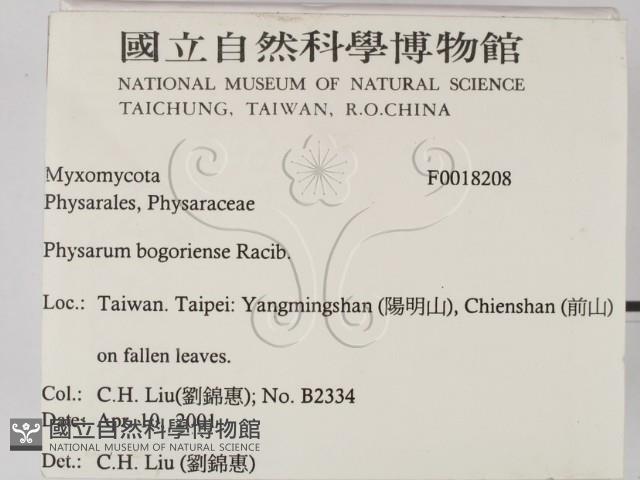登錄號:F0018208藏品圖，第2張