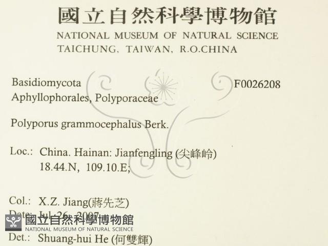 登錄號:F0026208藏品圖，第2張