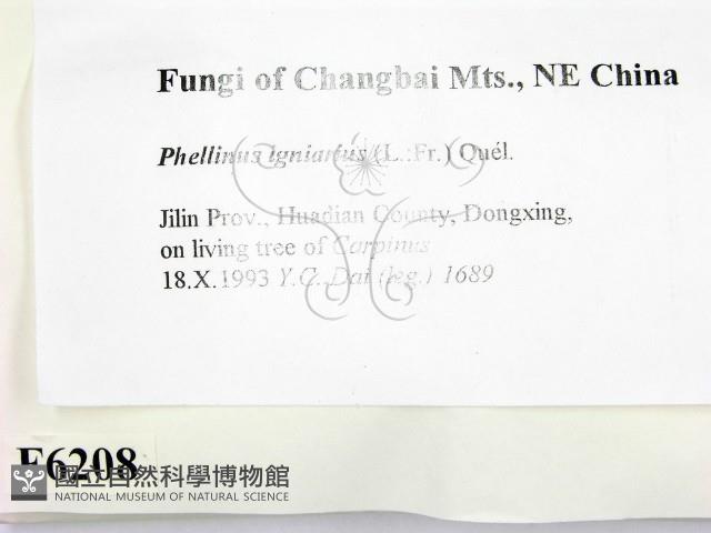 登錄號:F0006208藏品圖，第2張