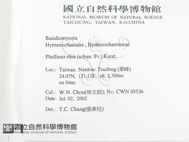 登錄號:F0016208藏品圖，第2張