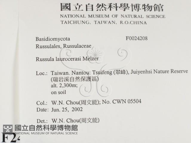 登錄號:F0024208藏品圖，第2張