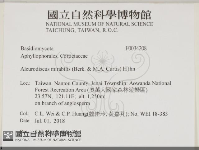 登錄號:F0034208藏品圖，第2張