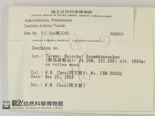 登錄號:F0002208藏品圖，第2張