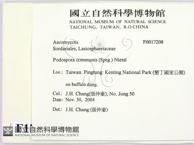 登錄號:F0017208藏品圖，第2張