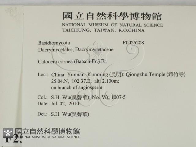 登錄號:F0025208藏品圖，第2張