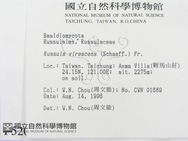 登錄號:F0005208藏品圖，第2張