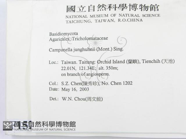 登錄號:F0015208藏品圖，第2張