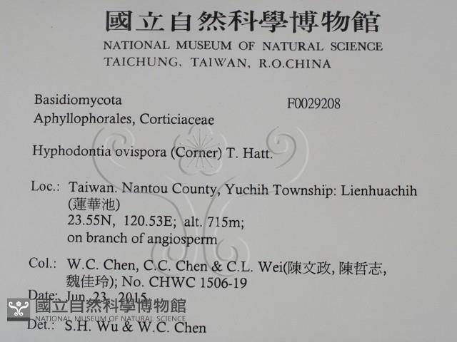 登錄號:F0029208藏品圖，第2張