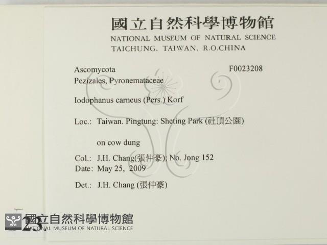 登錄號:F0023208藏品圖，第2張