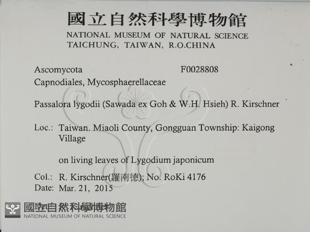 登錄號:F0028808藏品圖，第2張