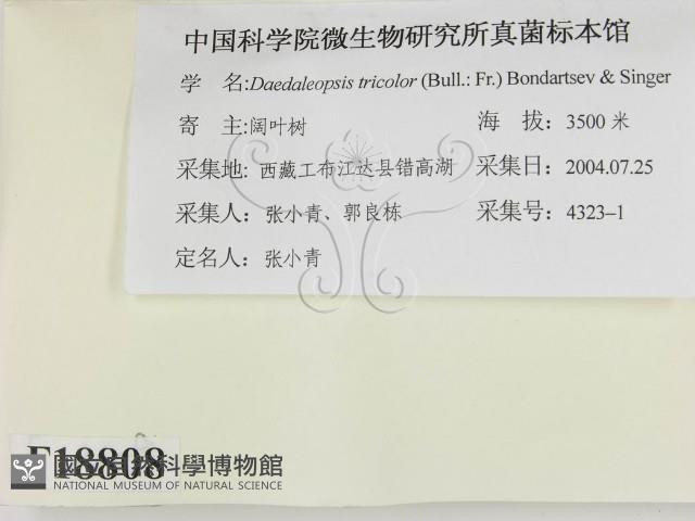 登錄號:F0018808藏品圖，第2張