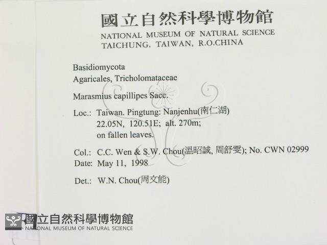 登錄號:F0010808藏品圖，第2張