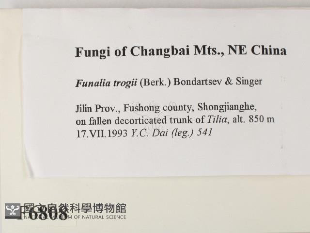 登錄號:F0006808藏品圖，第2張