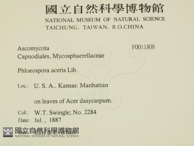 登錄號:F0011808藏品圖，第2張