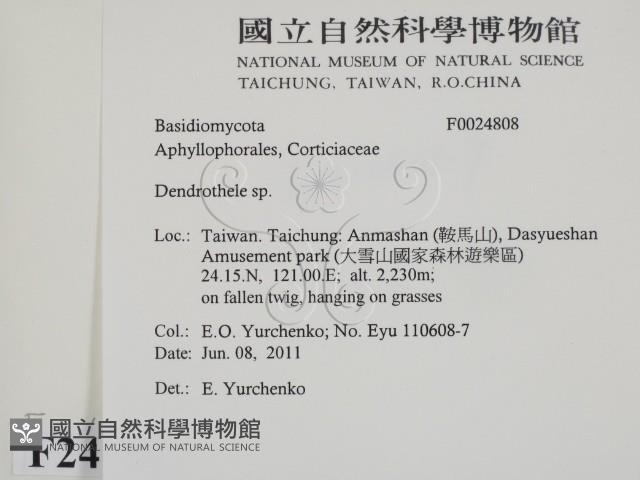 登錄號:F0024808藏品圖，第2張