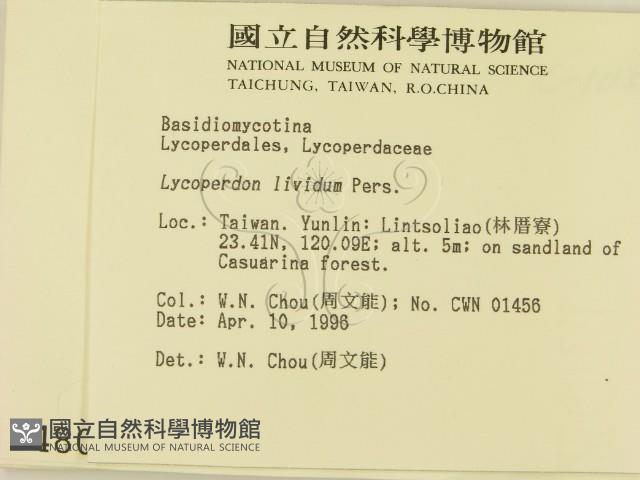 登錄號:F0004808藏品圖，第2張