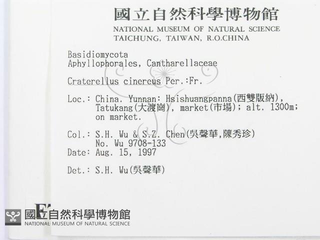 登錄號:F0007808藏品圖，第2張