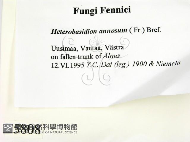 登錄號:F0005808藏品圖，第2張