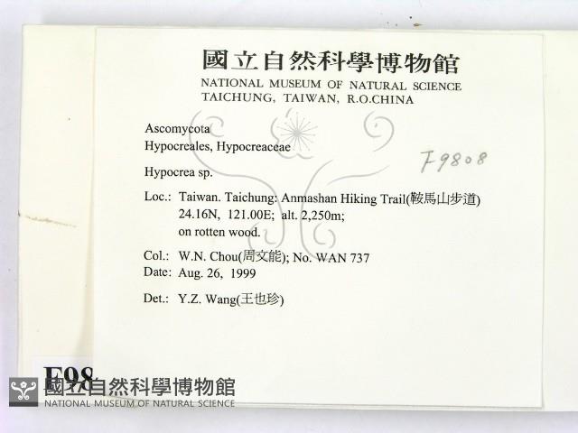 登錄號:F0009808藏品圖，第2張