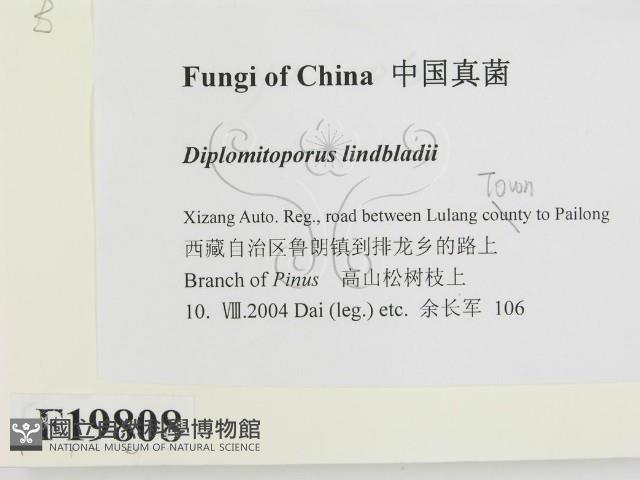登錄號:F0019808藏品圖，第2張
