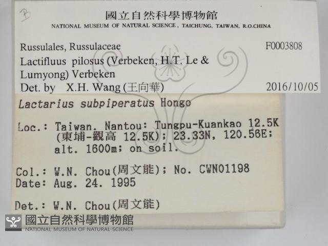 登錄號:F0003808藏品圖，第2張