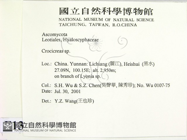 登錄號:F0013808藏品圖，第2張
