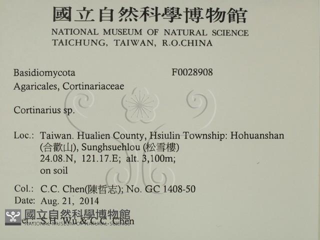 登錄號:F0028908藏品圖，第2張