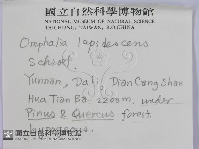 登錄號:F0008908藏品圖，第2張