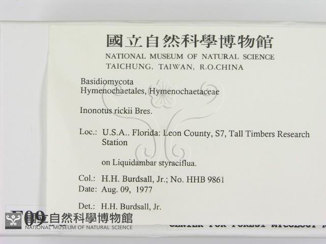 登錄號:F0000908藏品圖，第2張