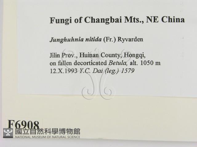 登錄號:F0006908藏品圖，第2張