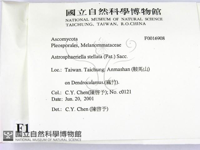 登錄號:F0016908藏品圖，第2張