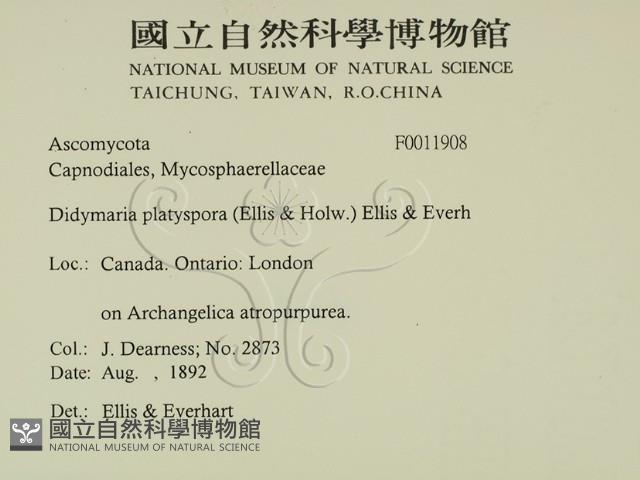 登錄號:F0011908藏品圖，第2張