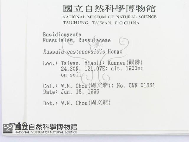 登錄號:F0004908藏品圖，第2張