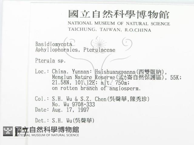 登錄號:F0007908藏品圖，第2張