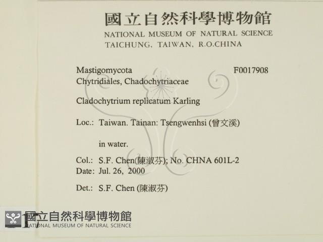 登錄號:F0017908藏品圖，第2張