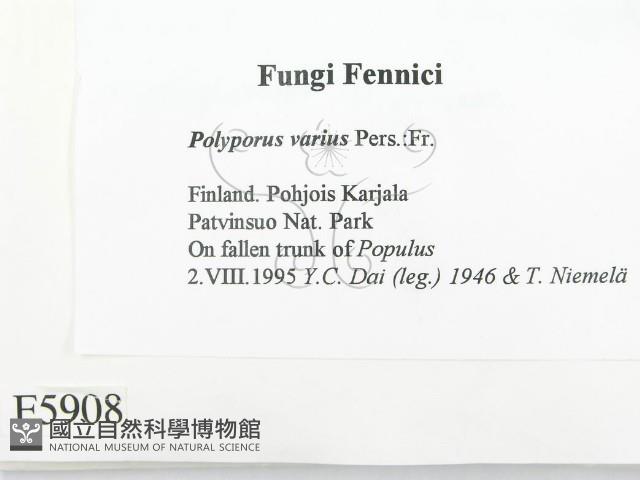 登錄號:F0005908藏品圖，第2張