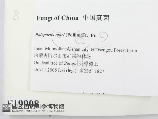 登錄號:F0019908藏品圖，第2張