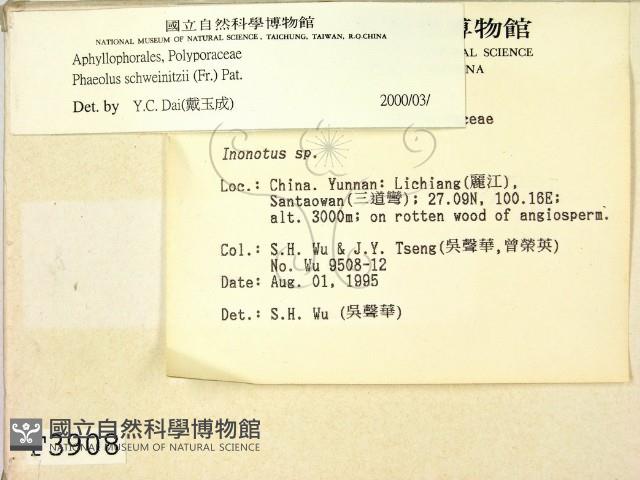 登錄號:F0003908藏品圖，第2張