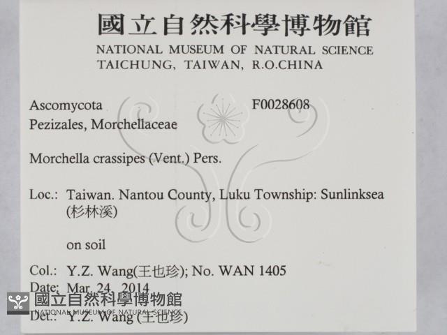 登錄號:F0028608藏品圖，第2張