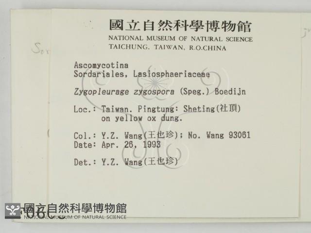 登錄號:F0000608藏品圖，第2張