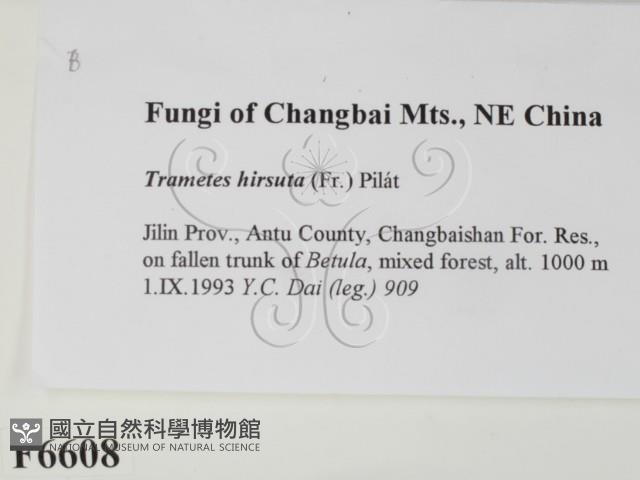 登錄號:F0006608藏品圖，第2張