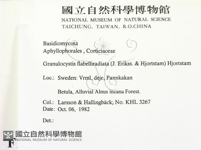 登錄號:F0016608藏品圖，第2張