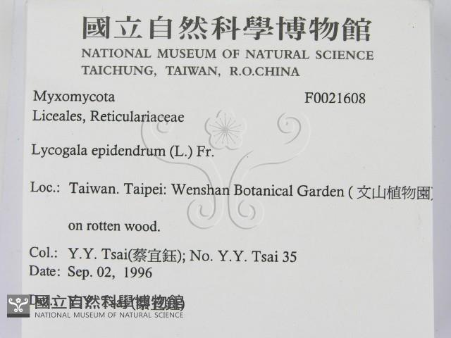 登錄號:F0021608藏品圖，第2張