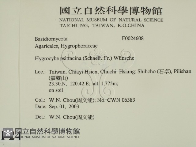 登錄號:F0024608藏品圖，第2張