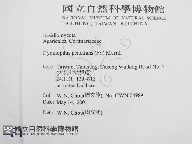 登錄號:F0014608藏品圖，第2張