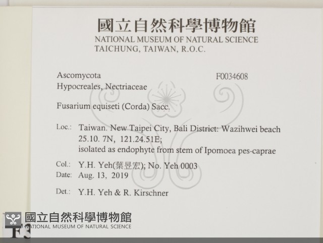 登錄號:F0034608藏品圖，第2張
