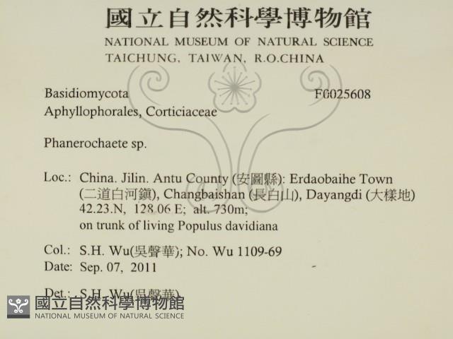 登錄號:F0025608藏品圖，第2張