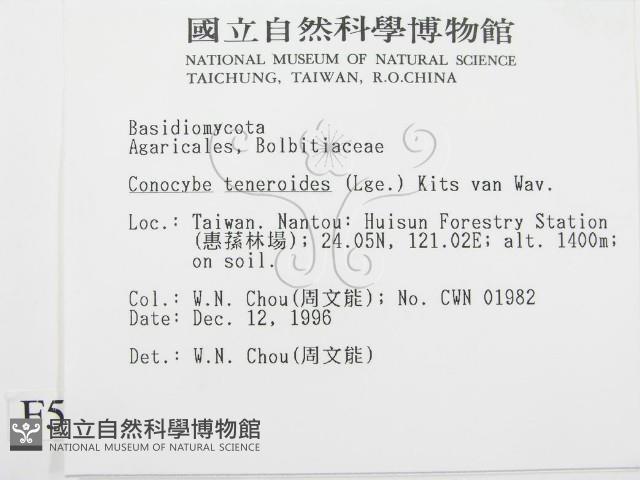 登錄號:F0005608藏品圖，第2張